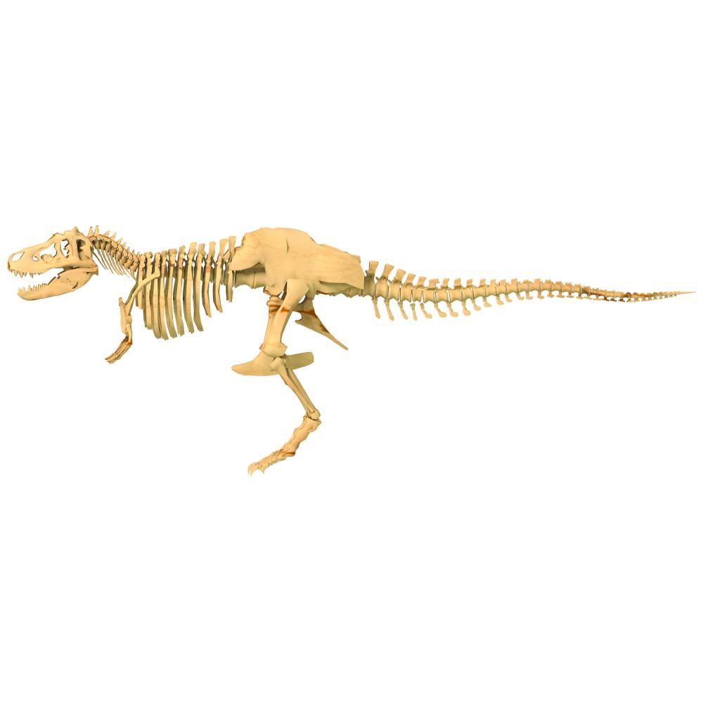 thames and kosmos dinosaur fossils